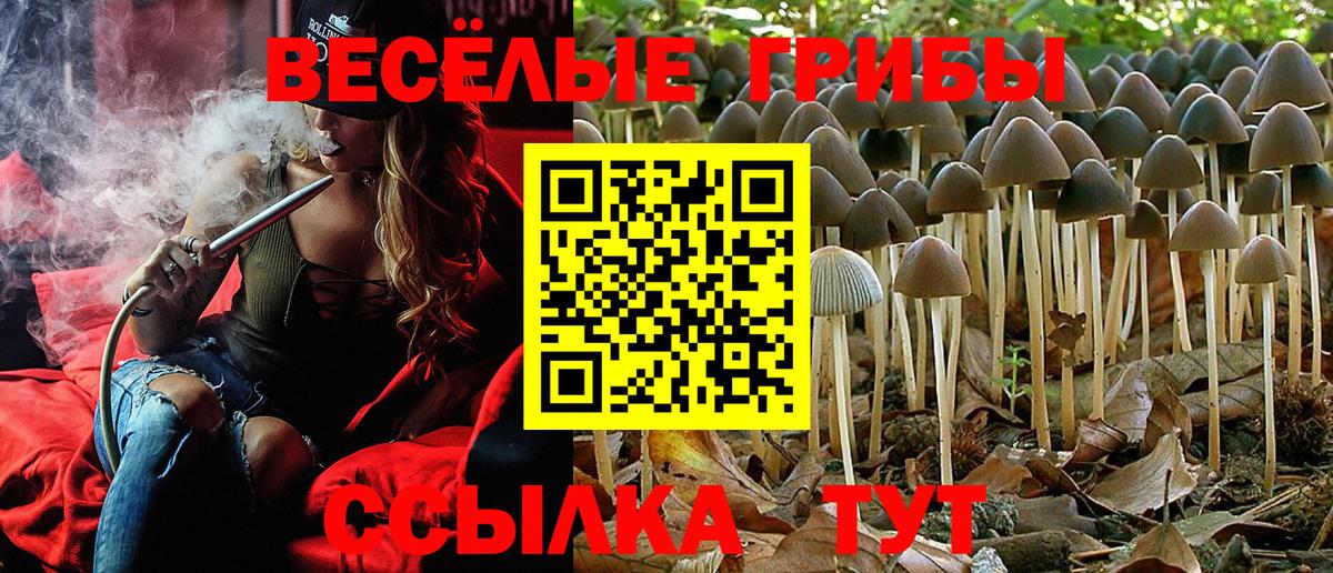 Кирово-Чепецк  Псилоцибиновые грибы Psilocybine cubensis  Вход с VPN 